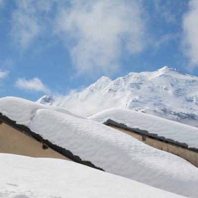 2504 ToitNeige