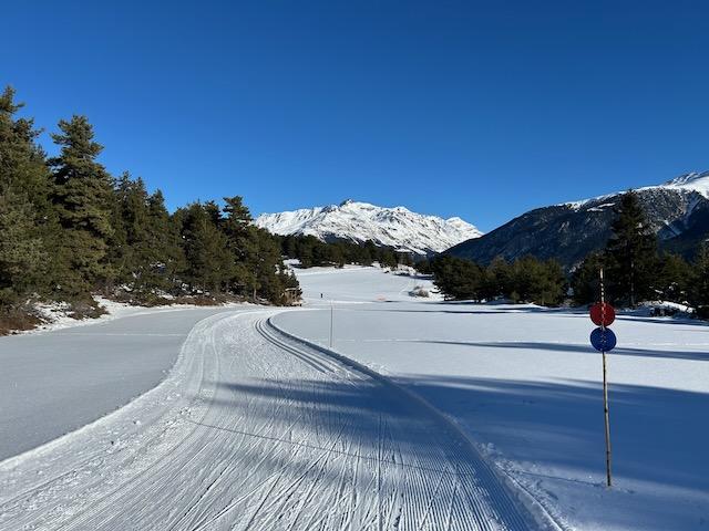 2024 12 ski de fond plateau