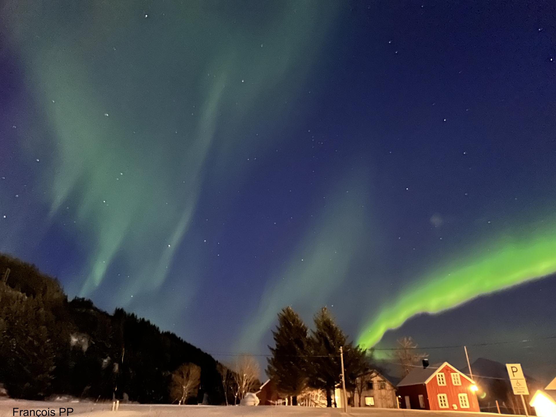 2303 6124 aurora