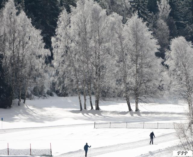 2501 1 neigesardieres